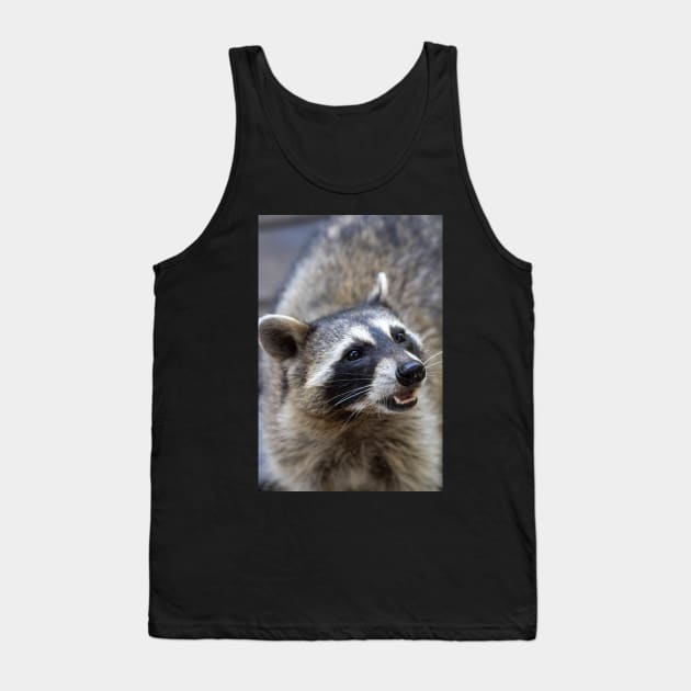 Beautiful Raccoon Print Tank Top by astonishingemma